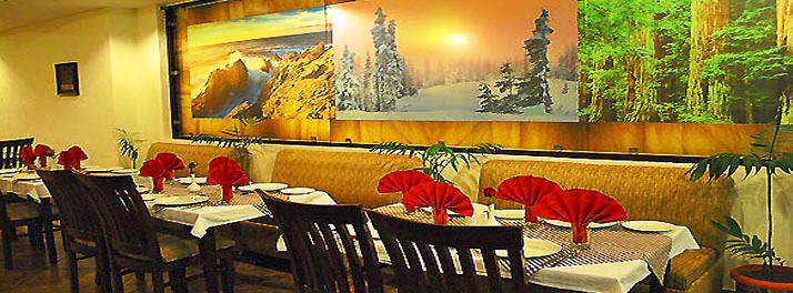 1504/Hotel GK Conifer - Dharamshala 05.jpg